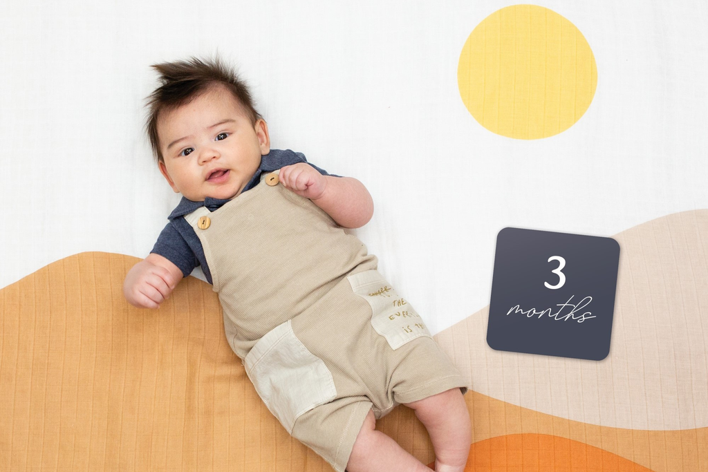Milestone blankets for your Baby's First Year