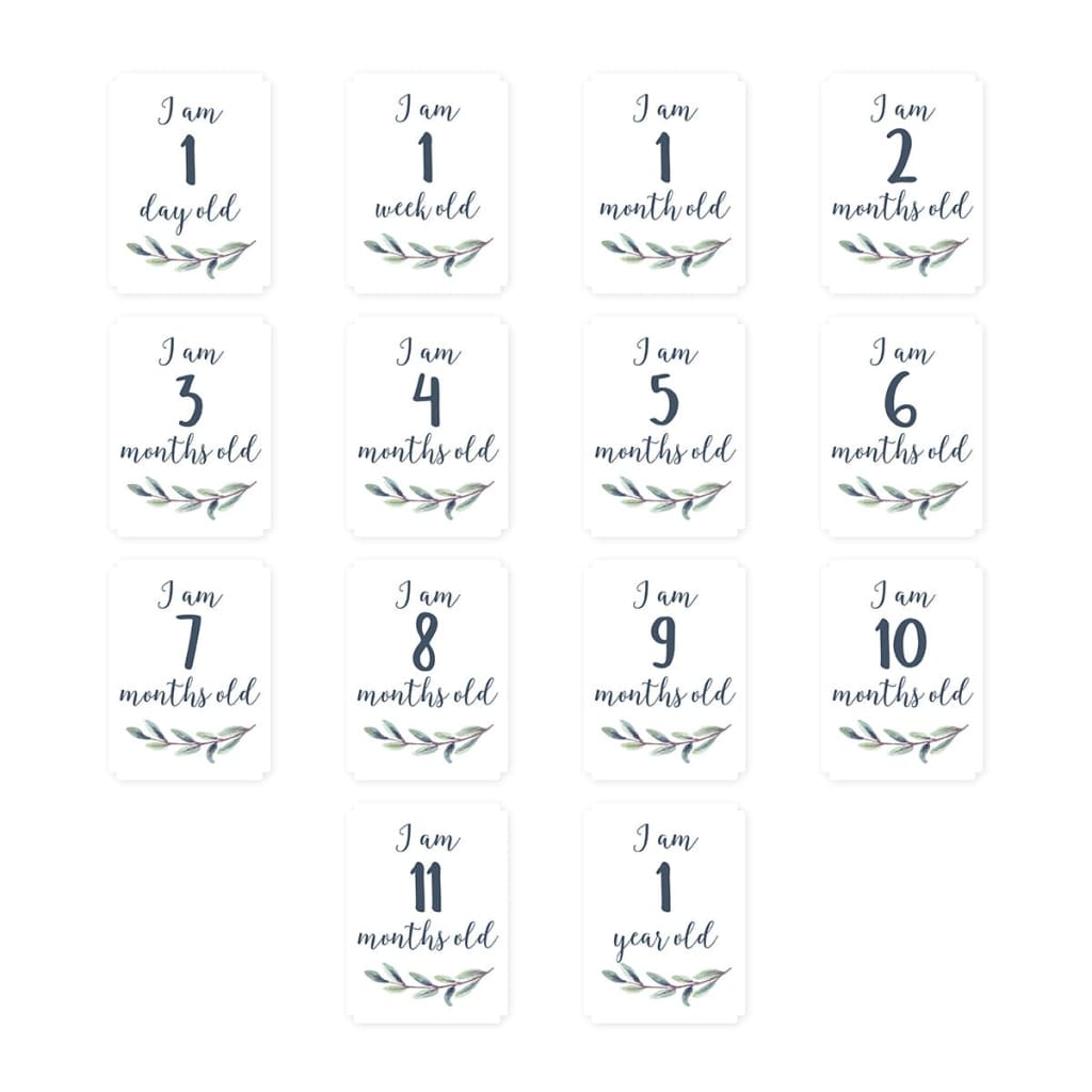 Milestone Blanket Monthly Cards