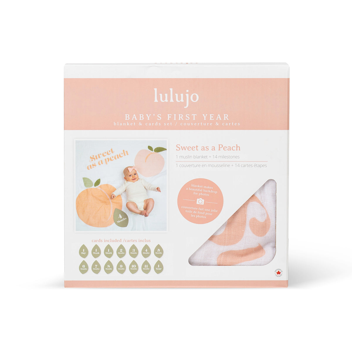 Milestone blankets for your Baby's First Year
