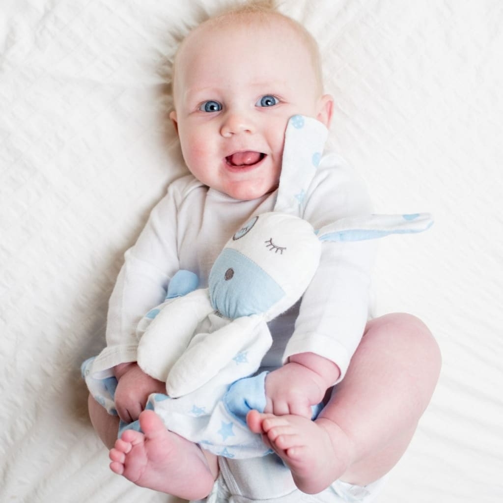 Lovey Blue Puppy lulujo