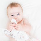 Lovey Lulujo Pink Bunny